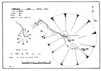 BPC B6-3 Cartilage Cave